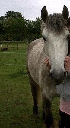 5F30E627-1485-42EB-B423-3A9BBB2C21E7.jpeg 5F30E627-1485-42EB-B423-3A9BBB2C21E7.jpeg