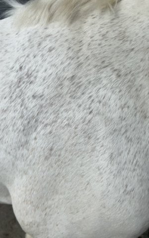 E63CD2A6-A9FD-4C8C-AE0D-7221F0B0FB04.jpeg E63CD2A6-A9FD-4C8C-AE0D-7221F0B0FB04.jpeg