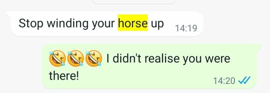 445361359_1183579713061526_8482945610487178704_n.jpg 445361359_1183579713061526_8482945610487178704_n.jpg