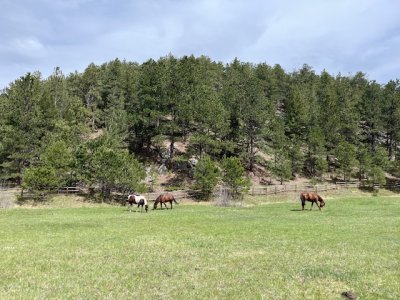 IMG_0659.jpeg IMG_0659.jpeg