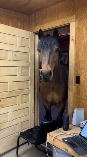 IMG_0688.jpeg IMG_0688.jpeg