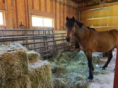 IMG_0681.jpeg IMG_0681.jpeg