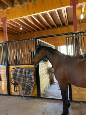 IMG_0684.jpeg IMG_0684.jpeg