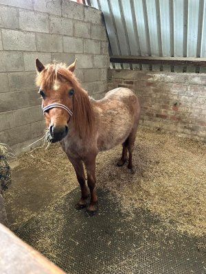 IMG_0410.jpeg IMG_0410.jpeg