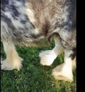 IMG_2266.jpeg IMG_2266.jpeg