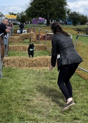 0F90502E-91D8-476D-BEC2-4D805D3F0E10.jpeg 0F90502E-91D8-476D-BEC2-4D805D3F0E10.jpeg