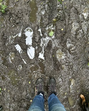 IMG_3546.jpeg IMG_3546.jpeg