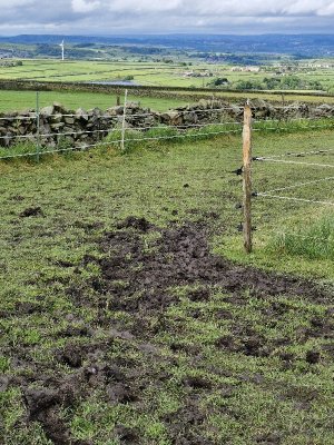 20240528_145401.jpg 20240528_145401.jpg