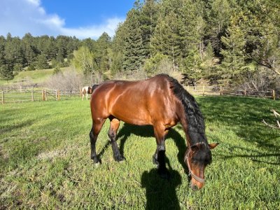 IMG_0767.jpeg IMG_0767.jpeg