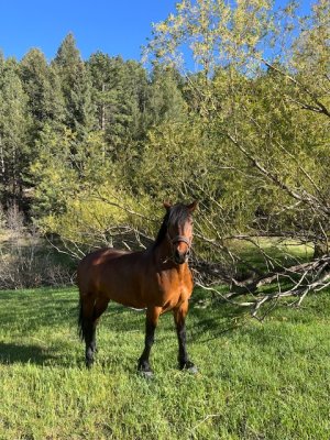 IMG_0761.jpeg IMG_0761.jpeg