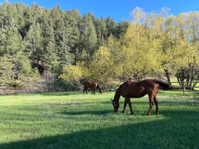 IMG_0759.jpeg IMG_0759.jpeg