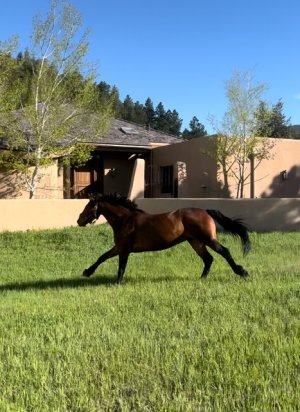 IMG_0753.jpeg IMG_0753.jpeg