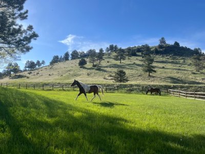 IMG_0746.jpeg IMG_0746.jpeg