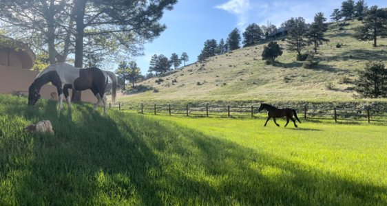 IMG_0754.jpeg IMG_0754.jpeg