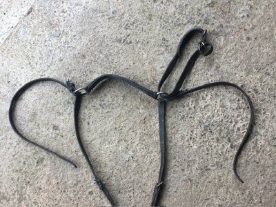 IMG_8424.jpeg IMG_8424.jpeg