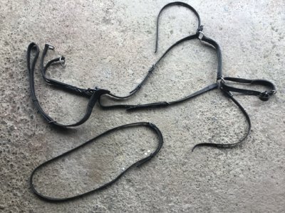 IMG_8425.jpeg IMG_8425.jpeg