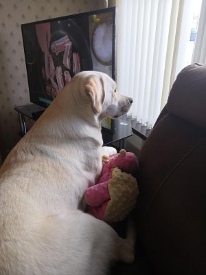 IMG_20210405_104411.jpg IMG_20210405_104411.jpg