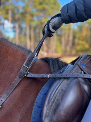 1717125298749.png 1717125298749.png