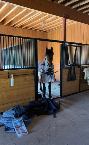 IMG_0808.jpeg IMG_0808.jpeg