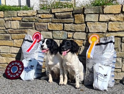 20240601_173813.jpg 20240601_173813.jpg