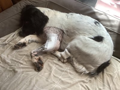 IMG_1482.jpeg IMG_1482.jpeg