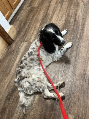 IMG_0840.jpeg IMG_0840.jpeg