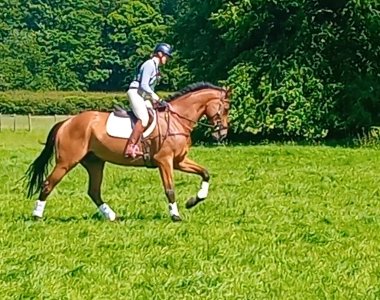 Screenshot_20240602_181542_Video Player.jpg