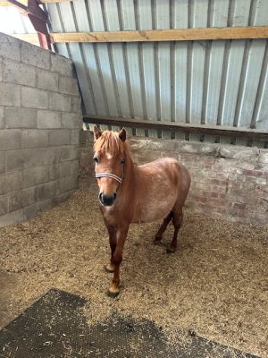 IMG_6280.jpeg IMG_6280.jpeg