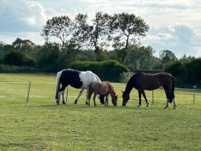 IMG_6289.jpeg IMG_6289.jpeg