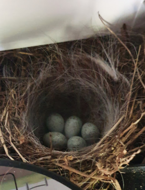 1717967582546.png 1717967582546.png