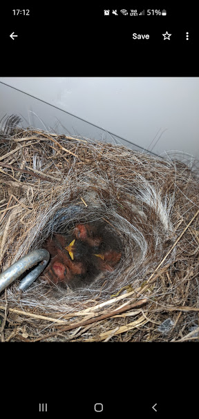 1717967614134.png 1717967614134.png