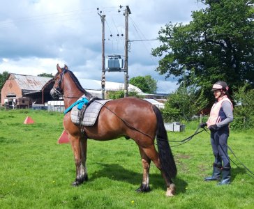 IMG-20240526-WA0001.jpg IMG-20240526-WA0001.jpg