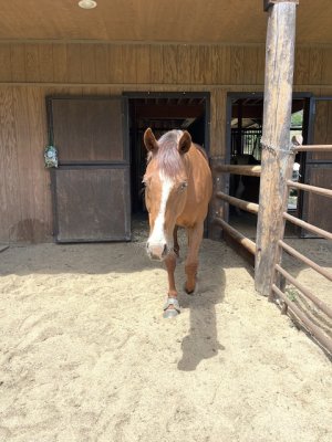 IMG_1024.jpeg IMG_1024.jpeg