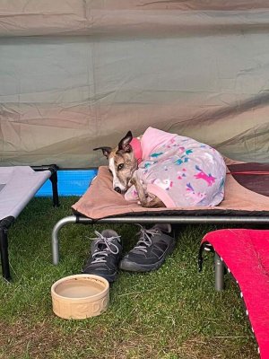 1000121052.jpg 1000121052.jpg