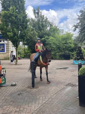 448337217_10101216123256145_3651271963201412143_n.jpg 448337217_10101216123256145_3651271963201412143_n.jpg