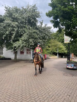 448368929_10101216123291075_136237596914951150_n.jpg 448368929_10101216123291075_136237596914951150_n.jpg