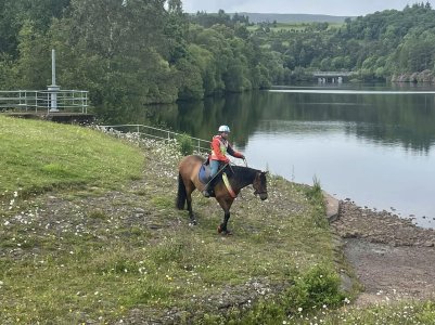 448277282_10101216123241175_6112474080766156851_n.jpg 448277282_10101216123241175_6112474080766156851_n.jpg