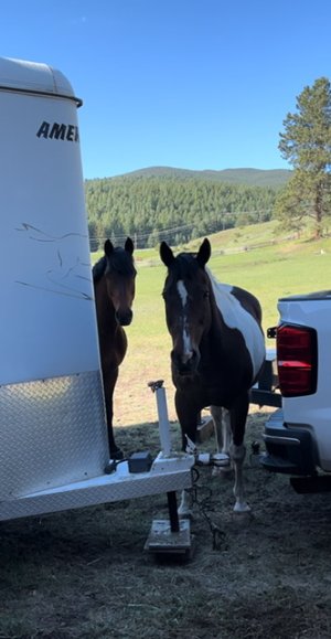 IMG_1054.jpeg IMG_1054.jpeg