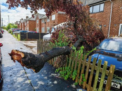 result of mini tornado.jpg result of mini tornado.jpg