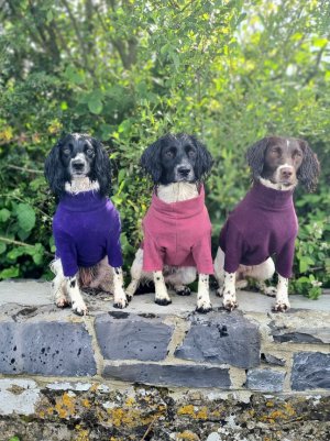 20240616_095331.jpg 20240616_095331.jpg