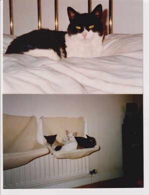Scan_20240617 (2).jpg