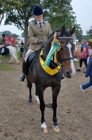 IMG_6140.jpeg IMG_6140.jpeg