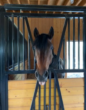 IMG_1110.jpeg IMG_1110.jpeg