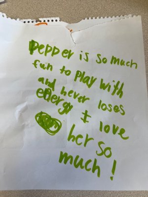 IMG_1115.jpeg IMG_1115.jpeg