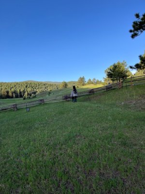 IMG_1118.jpeg IMG_1118.jpeg