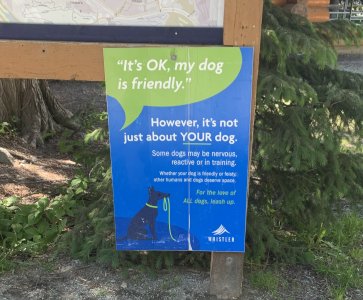 IMG_1545.jpeg IMG_1545.jpeg