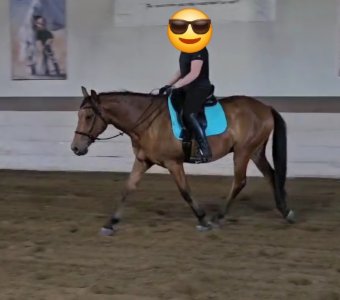 VideoCapture_20240613-171836.jpg VideoCapture_20240613-171836.jpg