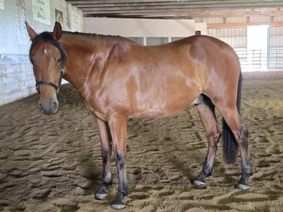 Screenshot_20240619_175210_Gallery.jpg Screenshot_20240619_175210_Gallery.jpg