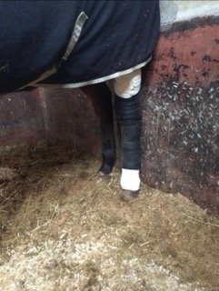 View recent photos Small.jpeg