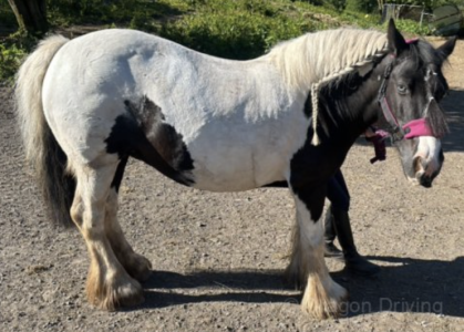 Screenshot 2024-06-26 at 09.33.05.png Screenshot 2024-06-26 at 09.33.05.png